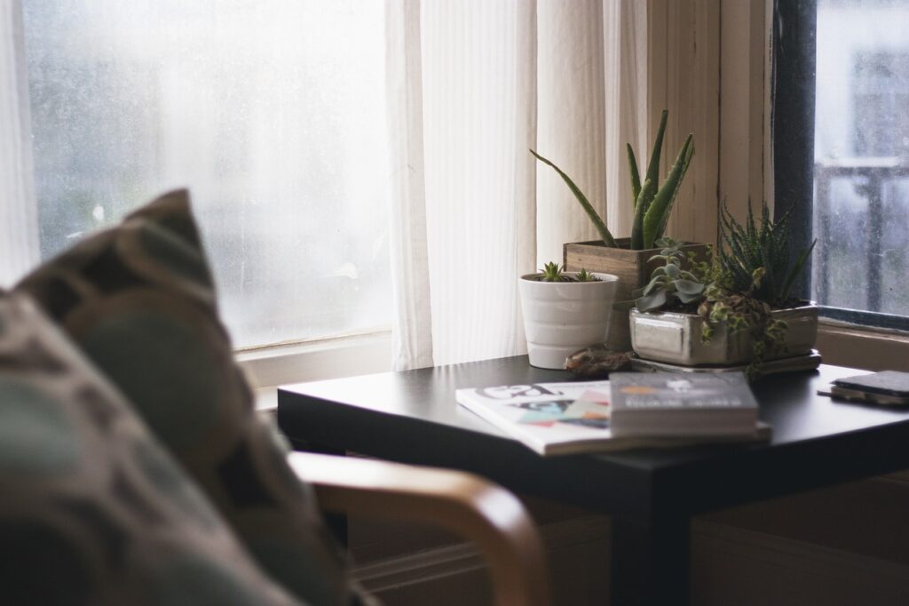 solving household pests